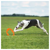 BIONIC  - Toss-N-Tug Turbo