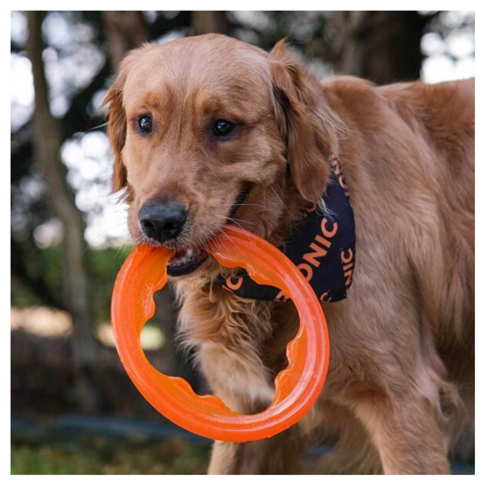 BIONIC - Toss-N-Tug Turbo - Petstop