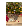 Trixie Christmas Cat Playing Rod - Elf's Hat