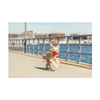 Trixie Lobster Plush Rope - Dog Toy
