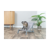 Trixie Cat - Outdoor Beach Chair