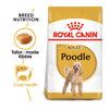 Royal Canin Poodle Adult