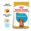 Royal canin shop dachshund junior