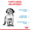 Royal Canin - Medium - Puppy/Junior