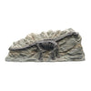 Marina Decorative Fossil Brontosaurus