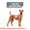 Royal Canin Medium Dental Care