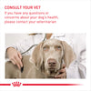 Royal Canin Medium Dental Care