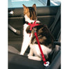 Cat Car Harness