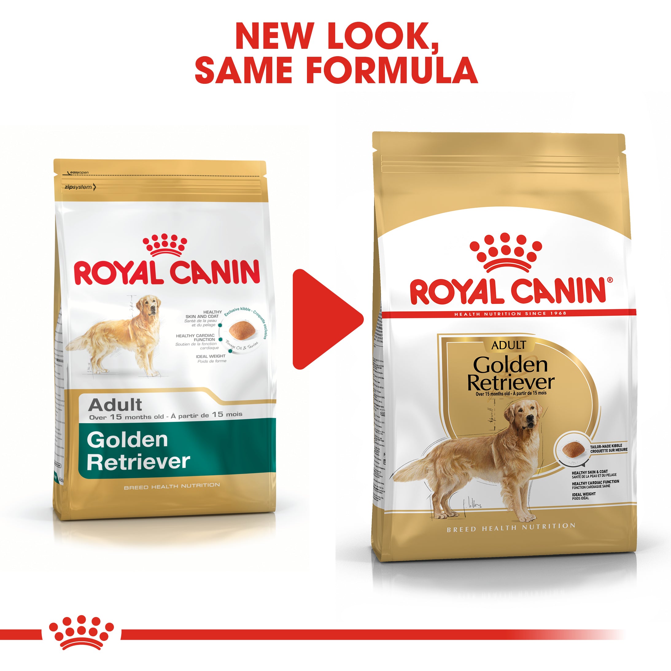 Royal Canin Golden Retriever Adult Dog Food | Petstop