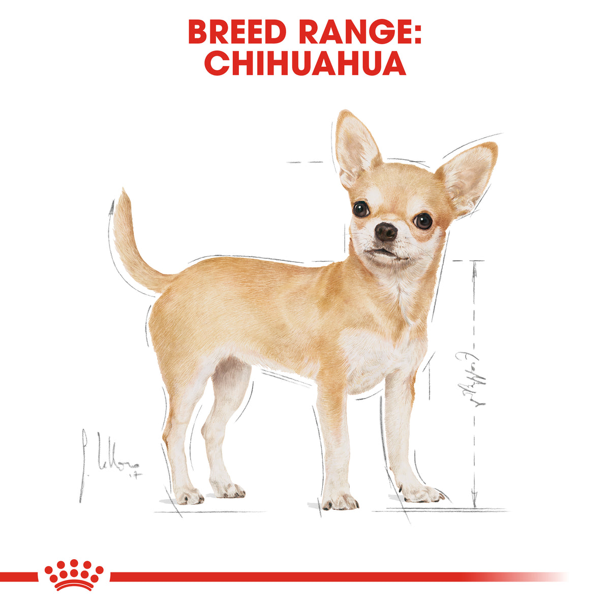 Royal Canin Chihuahua Adult Petstop