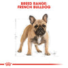 Royal Canin - French Bulldog - Adult