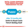 Royal Canin - French Bulldog - Puppy