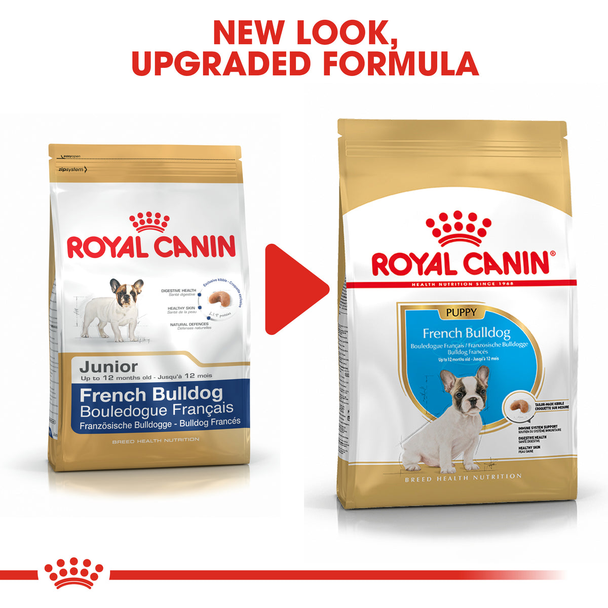 Royal Canin French Bulldog Puppy Petstop - Main Image