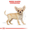 Royal Canin Chihuahua Puppy/Junior 1.5kg