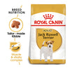 Royal Canin - Jack Russell Adult