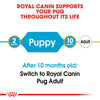 Royal Canin Pug Puppy/Junior
