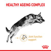 Royal Canin German Shepherd 5+ 12kg