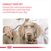 Royal Canin Dog Pouch - Dermacomfort