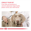 Royal Canin Dog Pouch - Sterilised Care Dog
