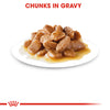 Royal Canin Mini Adult in Gravy Pouch 85g
