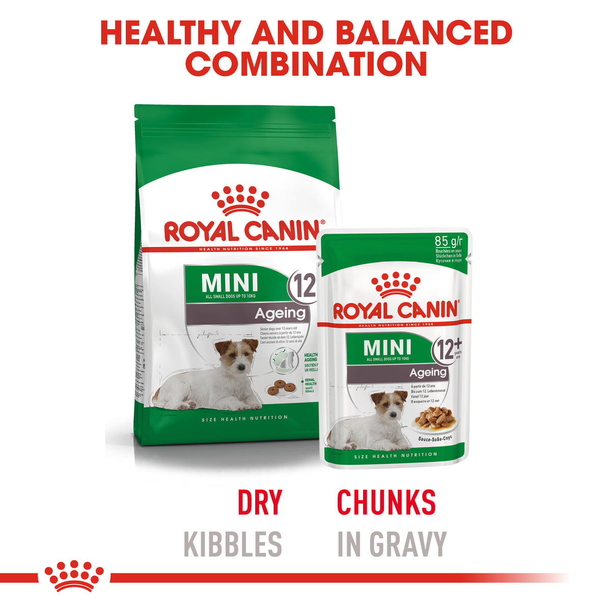 Royal Canin Mini Ageing Wet Food for older dogs
