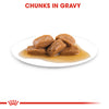 Royal Canin Maxi Adult in Gravy Pouch 140g