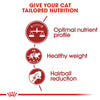 Royal Canin Fit Cat Food