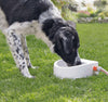 Automatic Fill - Outdoor Water Bowl
