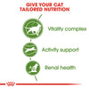 Royal Canin Cat Outdoor Ageing +7