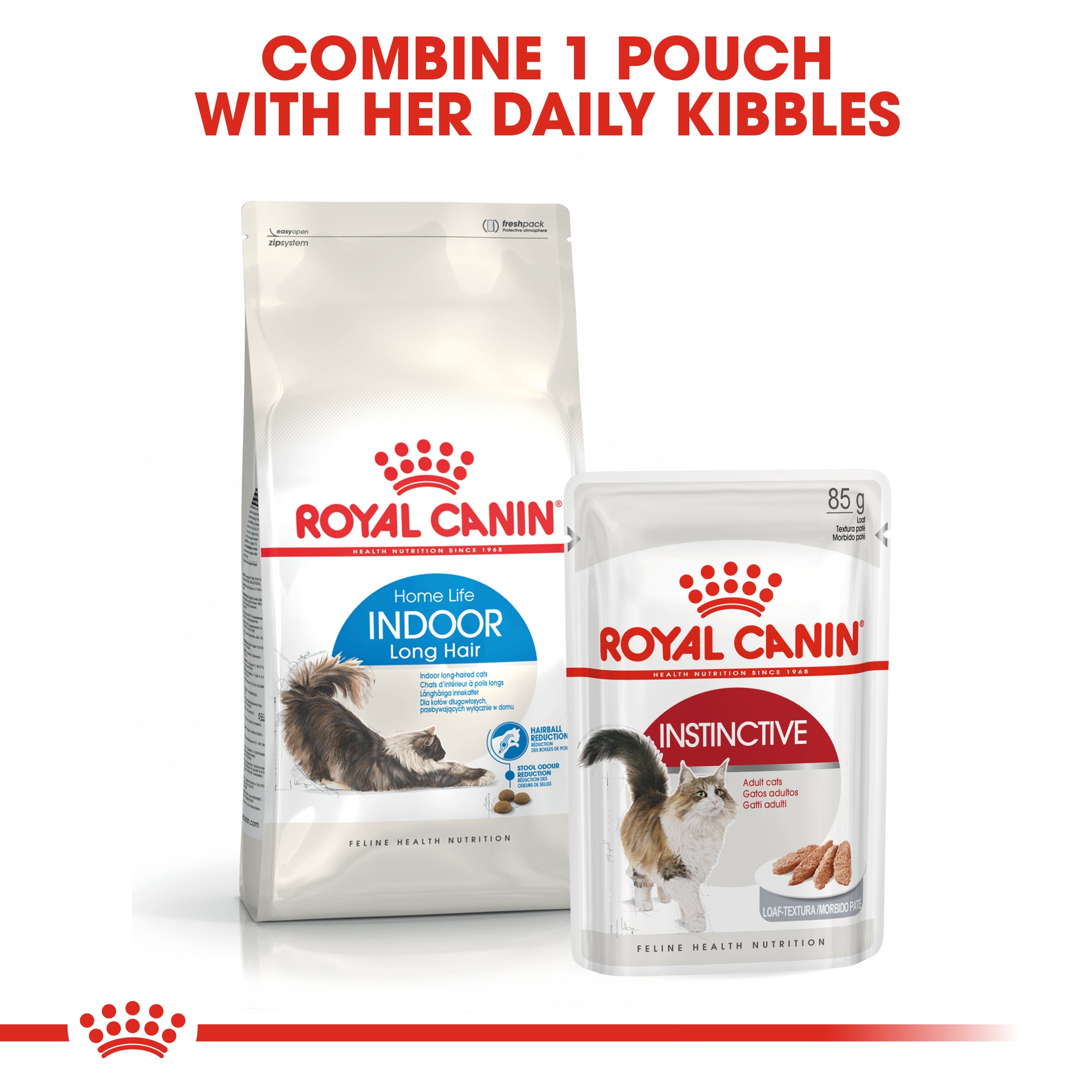 キャットフード  CANIN Indoor Long Hair 10kg Royal Canin Indoor Long Hair Cat Food | Petstop
