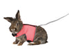 Rabbit Soft Harness with Lead