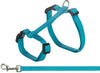 Cat Harness with Lead - XL Cat