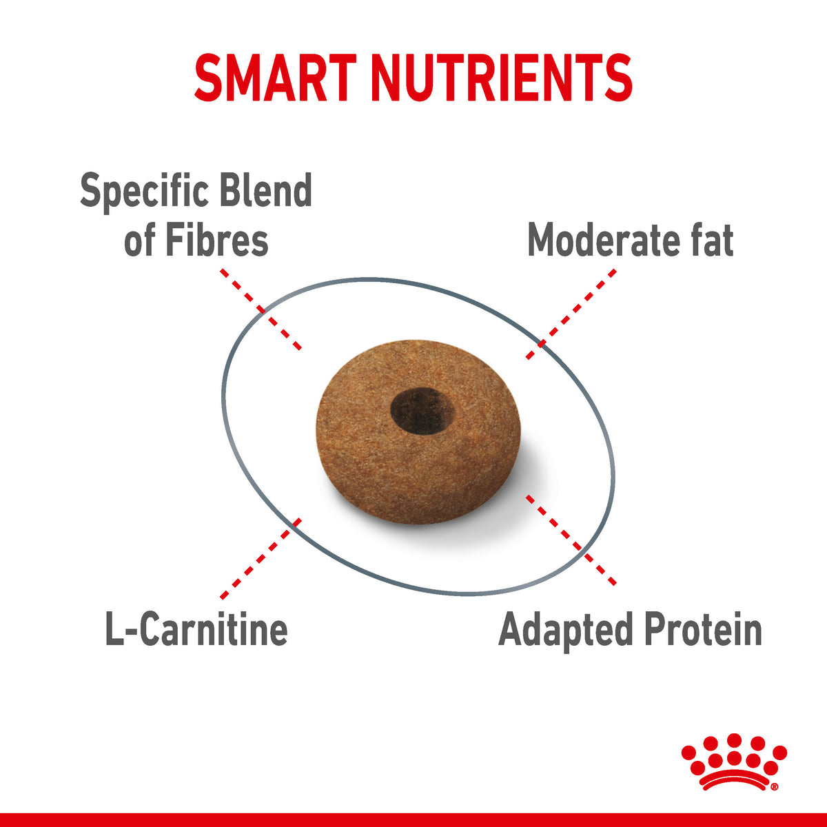 Royal Canin Appetite Control Care Cat Food - Petstop