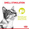 Royal Canin Cat Pouch - Sensory Smell