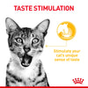 Royal Canin Cat Pouch - Sensory Taste