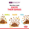 Royal Canin Cat Pouch - Sensory Taste