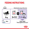 Royal Canin Cat Pouch - Appetite Control Care in Gravy