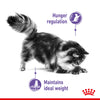 Royal Canin Cat Pouch - Appetite Control Care in Gravy