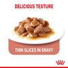 Royal Canin Cat Pouch - Appetite Control Care in Gravy