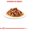 Royal Canin Kitten Pouch in Gravy