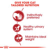 Royal Canin Cat Pouch - Instinctive in Jelly