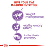 Royal Canin Cat Pouch - Sterilised in Jelly