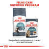 Royal Canin Cat Pouch - Hairball Care in Gravy