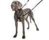 Company of Animals - Halti - Non-Pull Harness