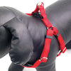 Petstop Padded Harness Red