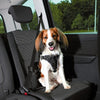 Dog Protect Car Harness
