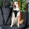 Dog Protect Car Harness