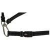 Waist Belt with Lead for Medium-Sized and Large Dogs