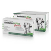 Anthelmin Plus - Worming Tablet - Small to Large Dogs