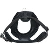 Cat - Mesh Y Harness with Lead